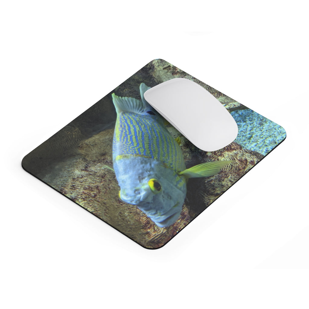Light Blue Fish Mouse Pad featuring a vibrant fish design on a smooth neoprene surface, ideal for enhancing desk aesthetics.