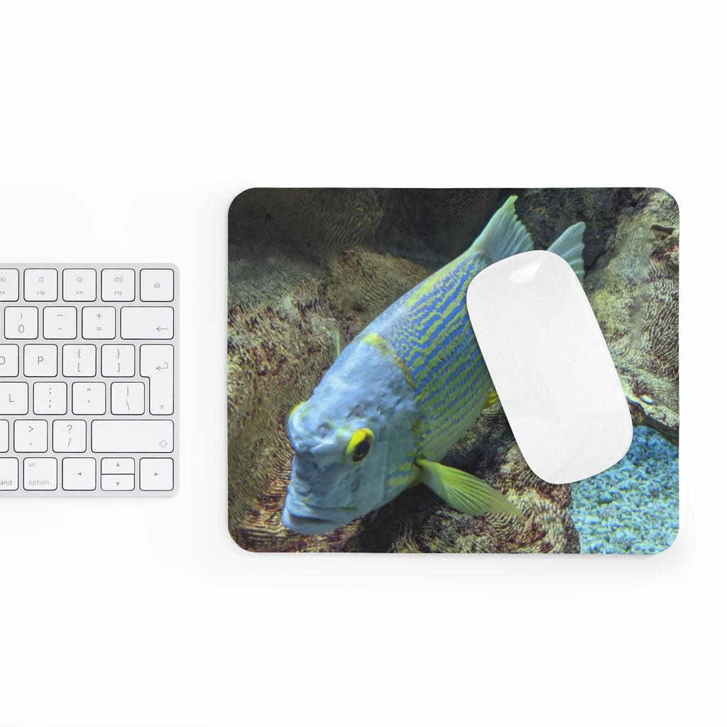 Light Blue Fish Mouse Pad featuring a vibrant fish design on a smooth neoprene surface, ideal for enhancing desk aesthetics.