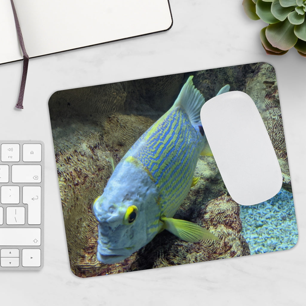 Light Blue Fish Mouse Pad featuring a vibrant fish design on a smooth neoprene surface, ideal for enhancing desk aesthetics.