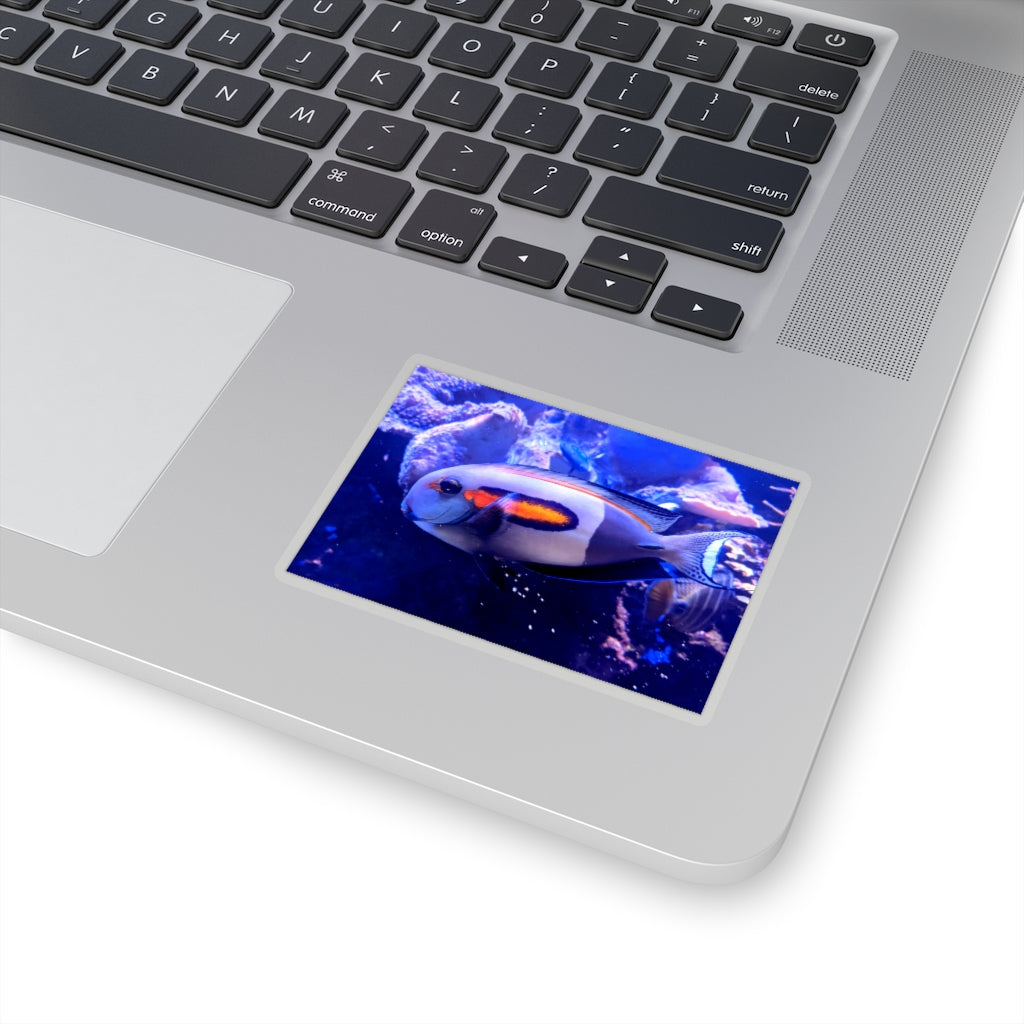 Light White Fish Kiss-Cut Stickers showcasing various shapes and sizes on a clean background.