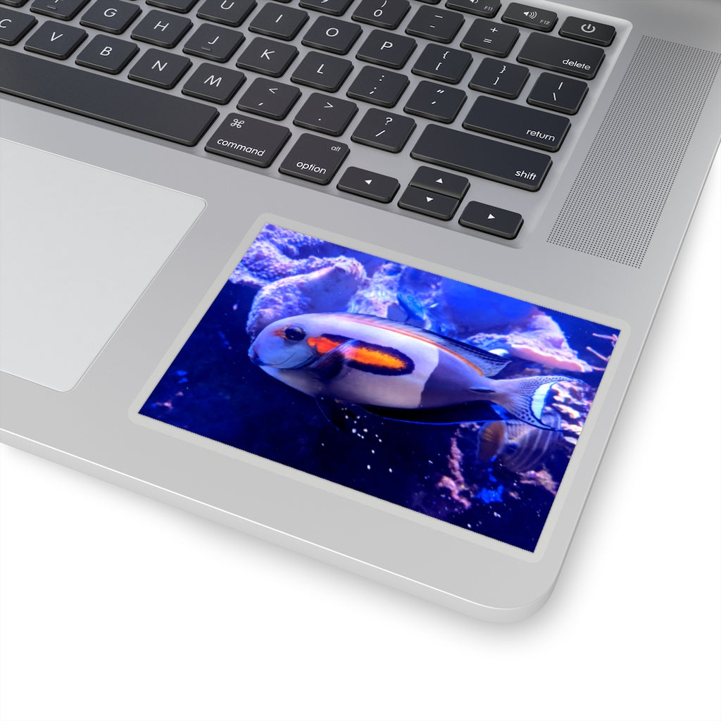 Light White Fish Kiss-Cut Stickers showcasing various shapes and sizes on a clean background.