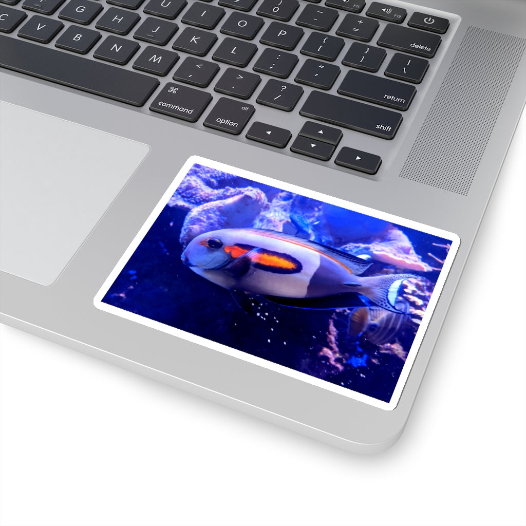 Light White Fish Kiss-Cut Stickers showcasing various shapes and sizes on a clean background.