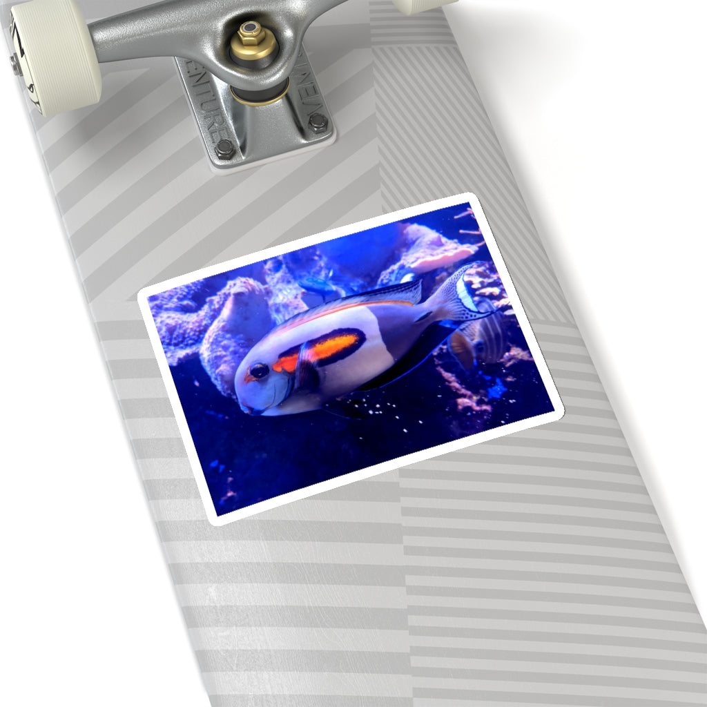 Light White Fish Kiss-Cut Stickers showcasing various shapes and sizes on a clean background.