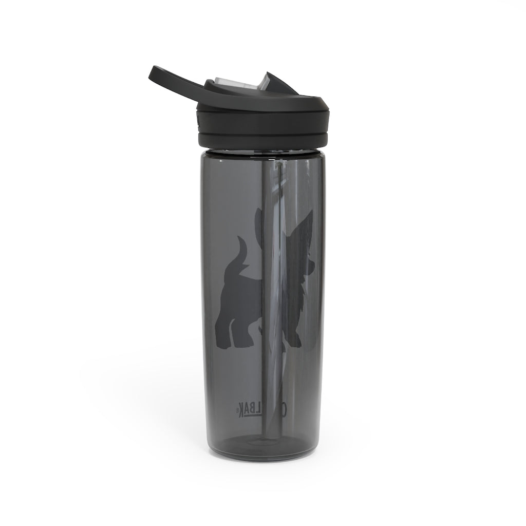 Lipgirl CamelBak Eddy® Water Bottle in 20oz and 25oz sizes, made from durable Tritan™ material, featuring a screw-on lid and spill-proof biting valve.