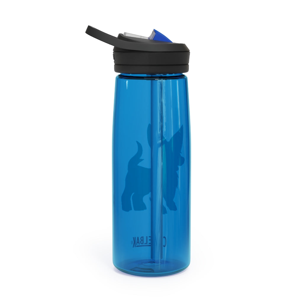 Lipgirl CamelBak Eddy® Water Bottle in 20oz and 25oz sizes, made from durable Tritan™ material, featuring a screw-on lid and spill-proof biting valve.