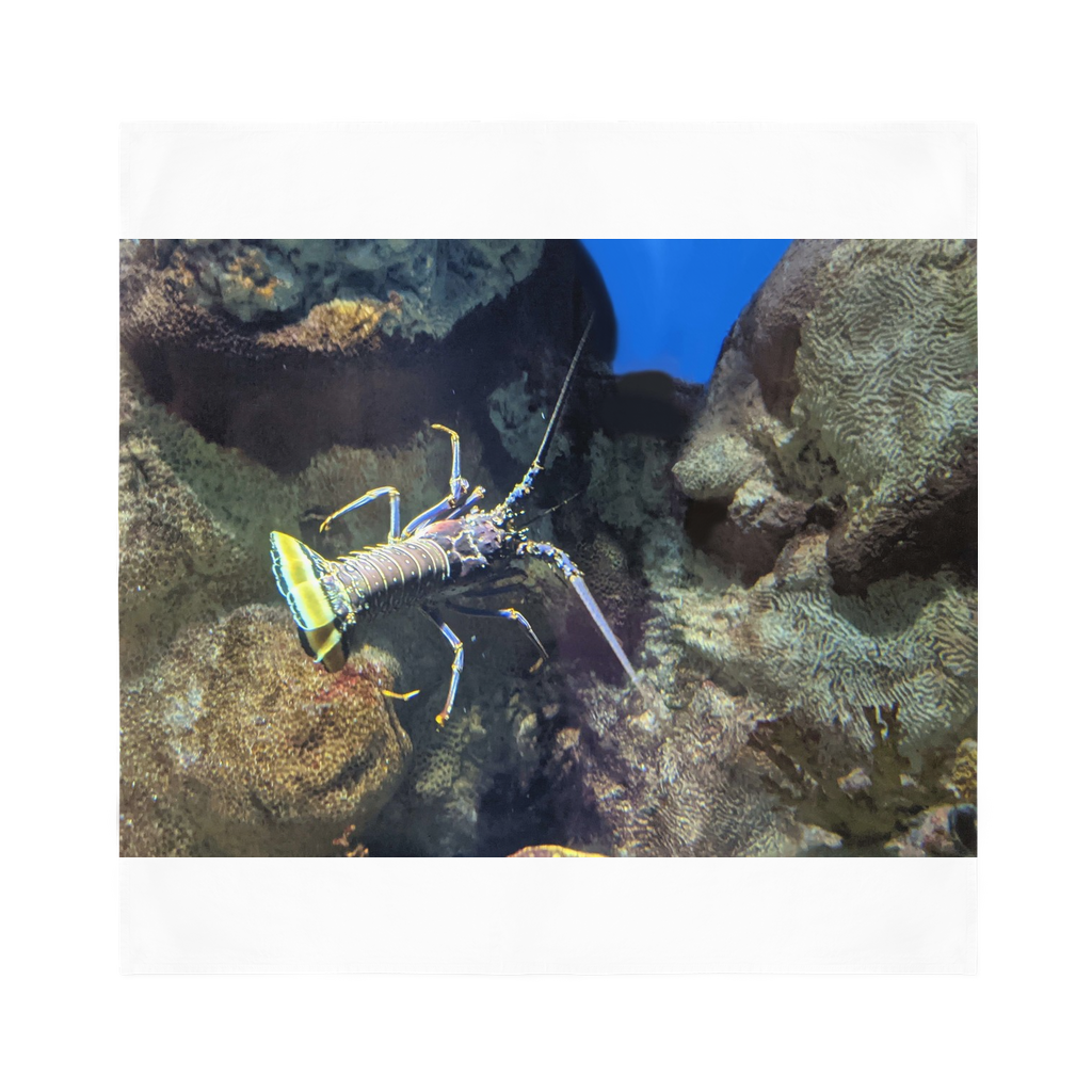 Lobster Sublimation Bandana featuring a vibrant lobster print on soft polyester fabric, perfect for stylish outfits.