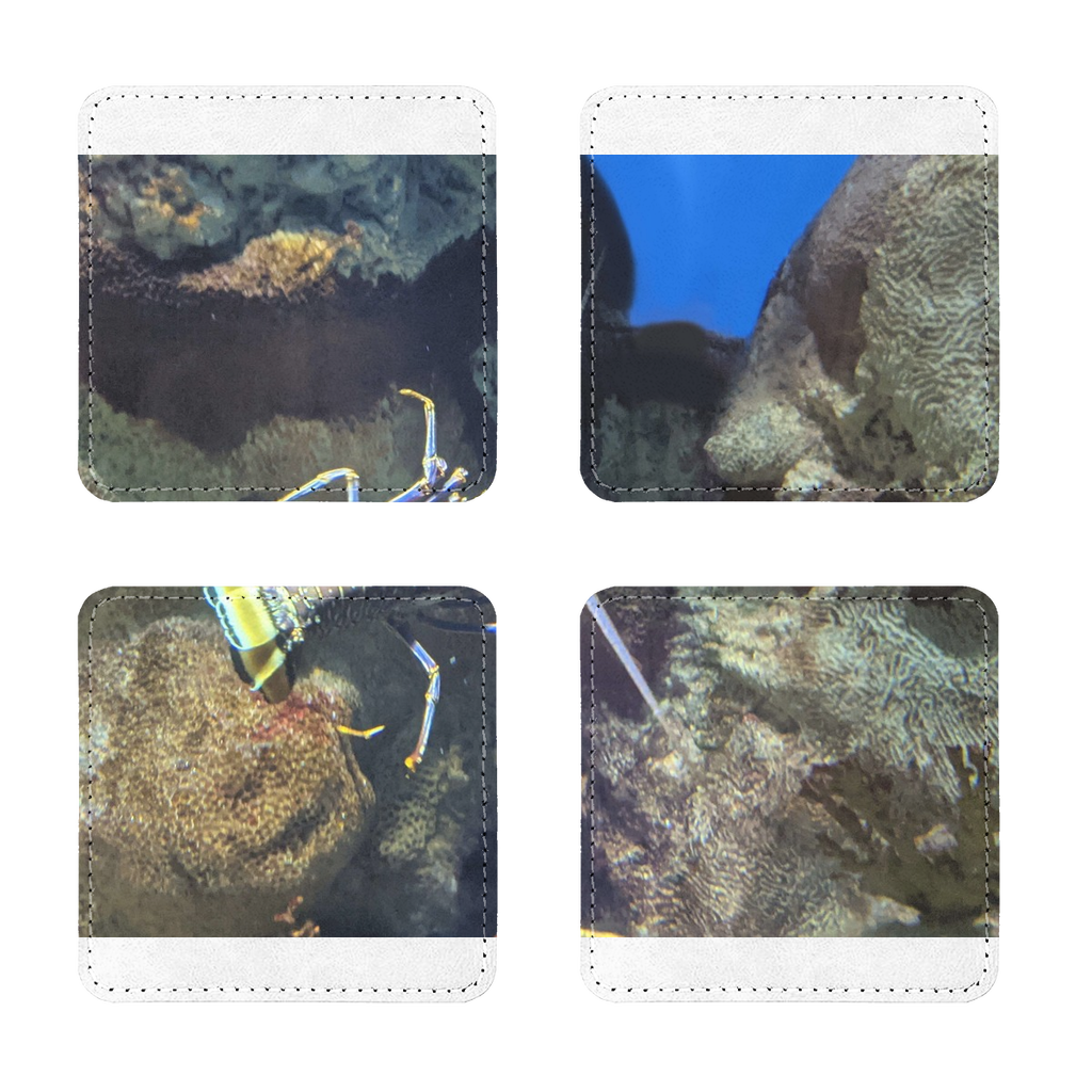 Pack of four Lobster Sublimation Coasters made from PU leather, featuring a white printable face and white stitching.