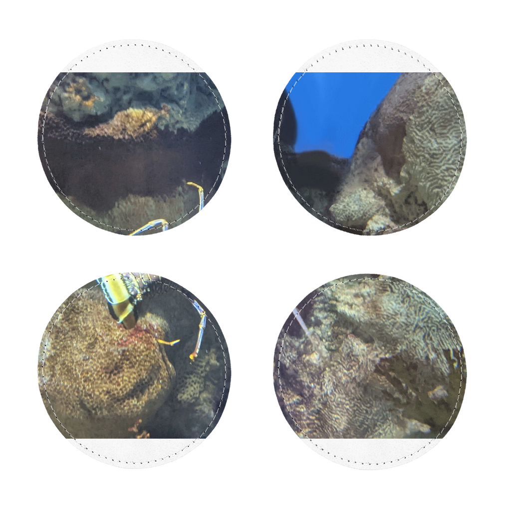 Pack of four Lobster Sublimation Coasters made from PU leather, featuring a white printable face and white stitching.