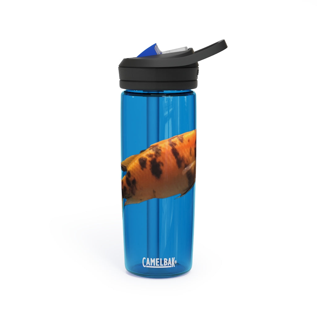 Orange Fish CamelBak Eddy® Water Bottle in 20oz and 25oz sizes, showcasing its durable design and spill-proof valve.