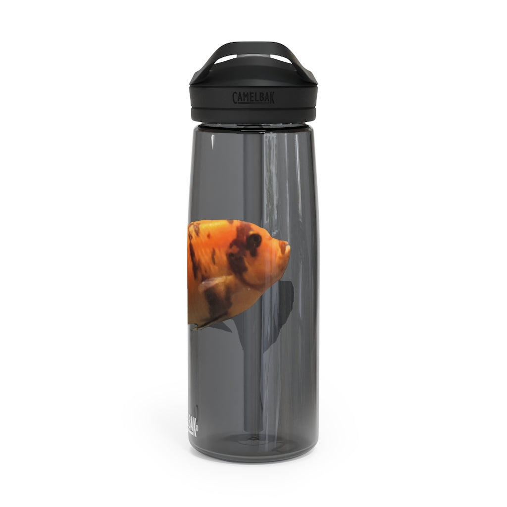 Orange Fish CamelBak Eddy® Water Bottle in 20oz and 25oz sizes, showcasing its durable design and spill-proof valve.
