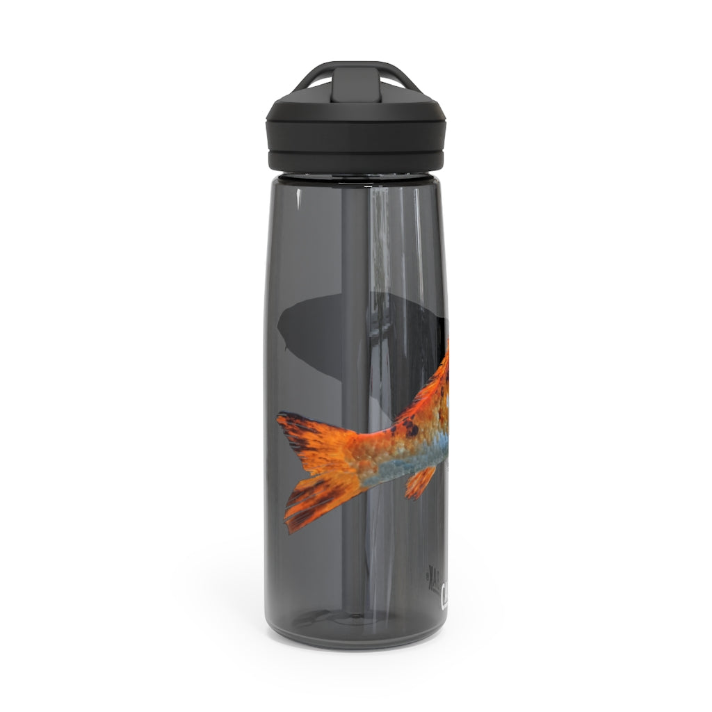 Orange Fish CamelBak Eddy® Water Bottle in 20oz and 25oz sizes, showcasing its durable design and spill-proof valve.