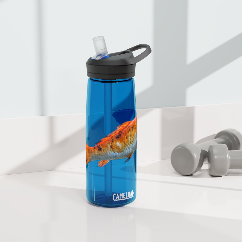 Orange Fish CamelBak Eddy® Water Bottle in 20oz and 25oz sizes, showcasing its durable design and spill-proof valve.