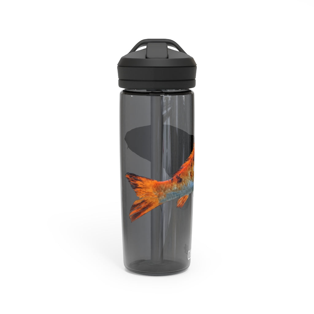 Orange Fish CamelBak Eddy® Water Bottle in 20oz and 25oz sizes, showcasing its durable design and spill-proof valve.