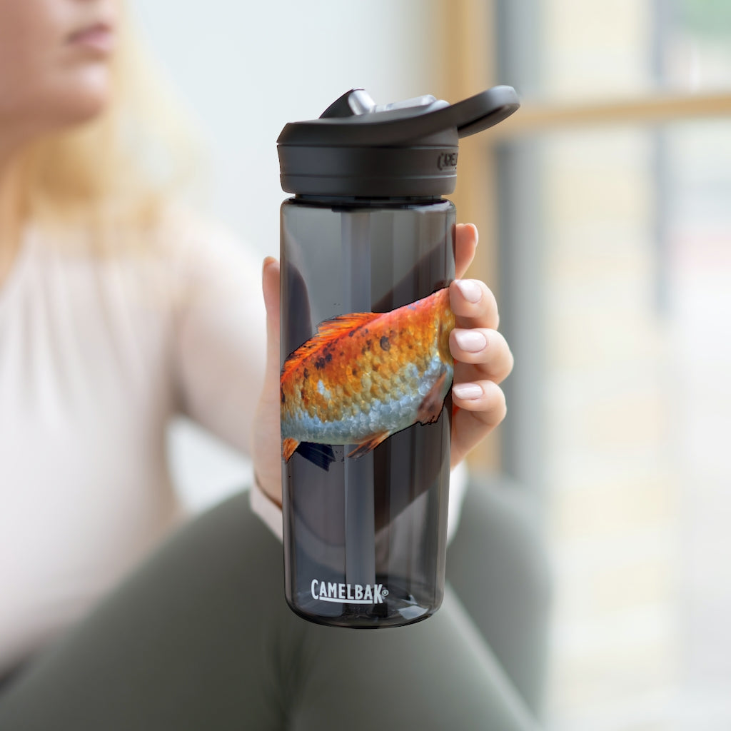 Orange Fish CamelBak Eddy® Water Bottle in 20oz and 25oz sizes, showcasing its durable design and spill-proof valve.