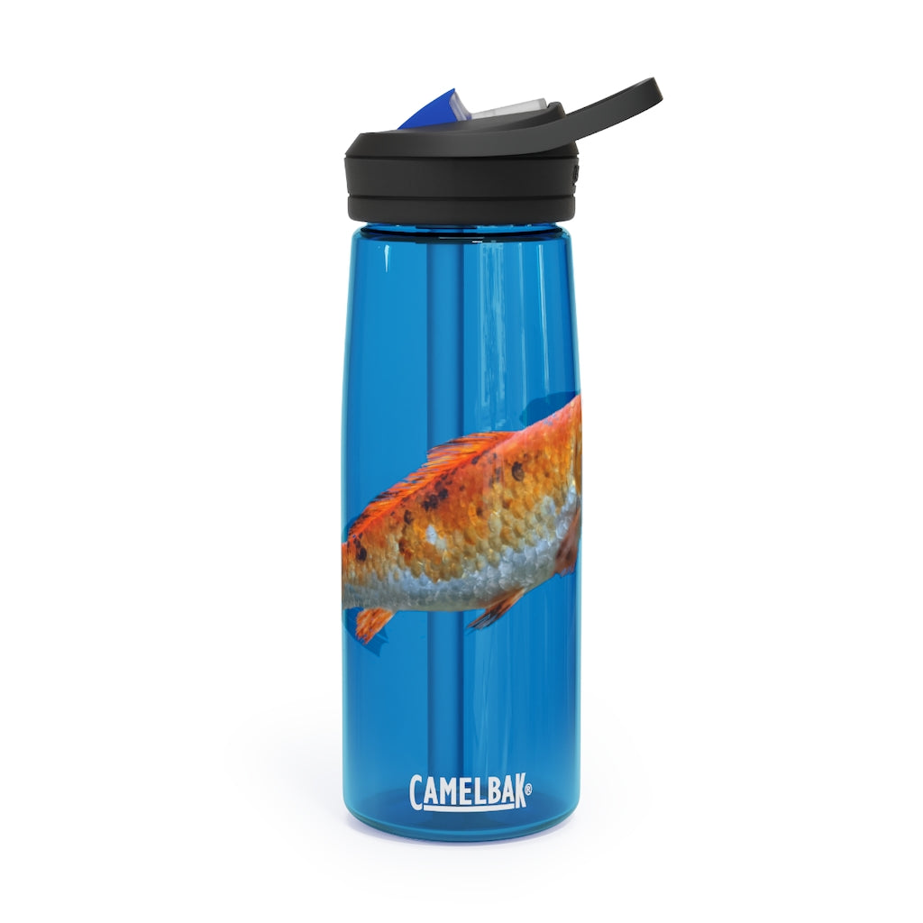 Orange Fish CamelBak Eddy® Water Bottle in 20oz and 25oz sizes, showcasing its durable design and spill-proof valve.