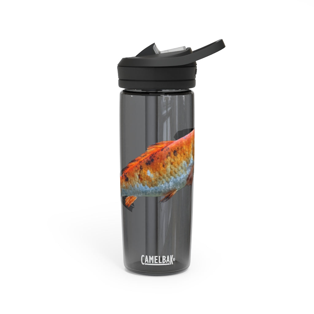 Orange Fish CamelBak Eddy® Water Bottle in 20oz and 25oz sizes, showcasing its durable design and spill-proof valve.