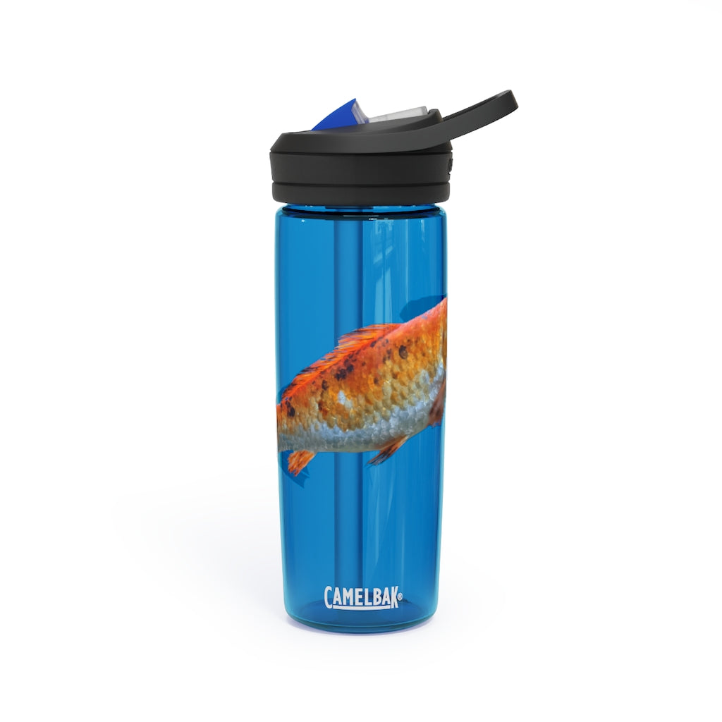 Orange Fish CamelBak Eddy® Water Bottle in 20oz and 25oz sizes, showcasing its durable design and spill-proof valve.
