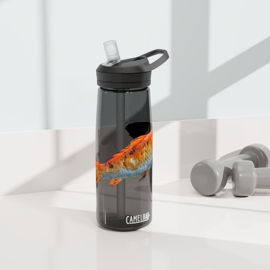 Orange Fish CamelBak Eddy® Water Bottle in 20oz and 25oz sizes, showcasing its durable design and spill-proof valve.
