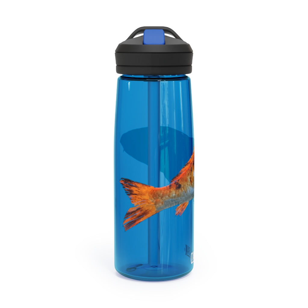Orange Fish CamelBak Eddy® Water Bottle in 20oz and 25oz sizes, showcasing its durable design and spill-proof valve.