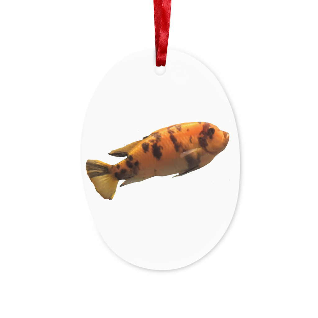Orange Fish Ceramic Hanging Ornament with red ribbon and gold string, perfect for Christmas decoration.