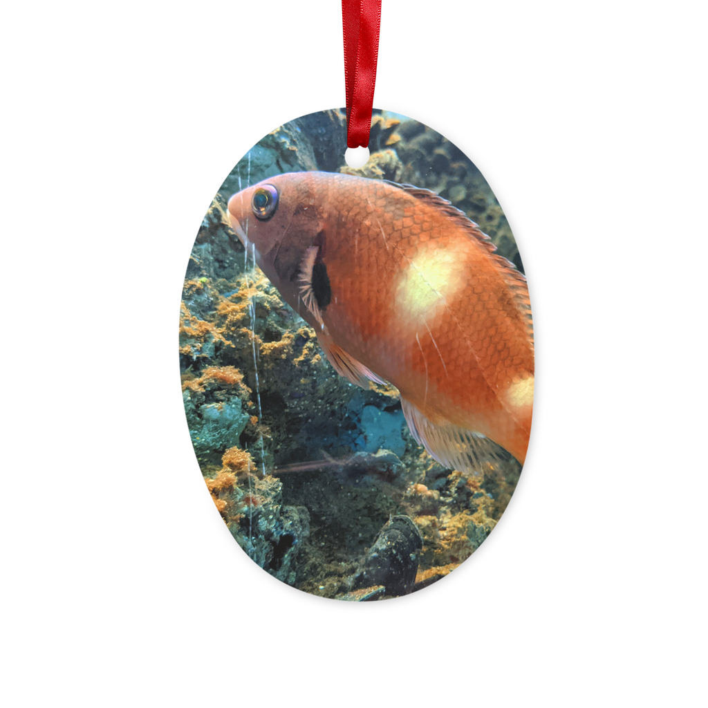 Orange Fish Ceramic Hanging Ornament with red ribbon and gold string, perfect for Christmas decoration.