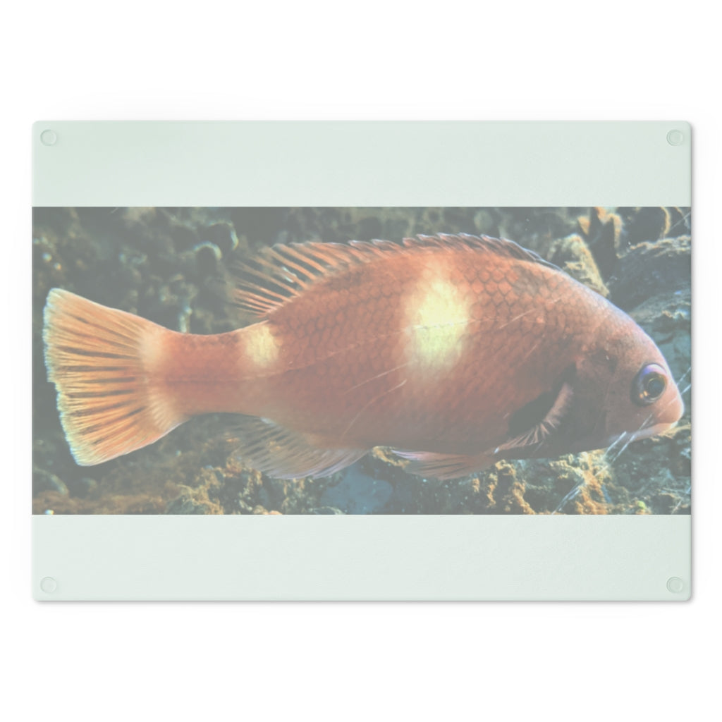 Orange Fish Cutting Board made of tempered glass with rubber dots for stability, featuring a vibrant fish design.