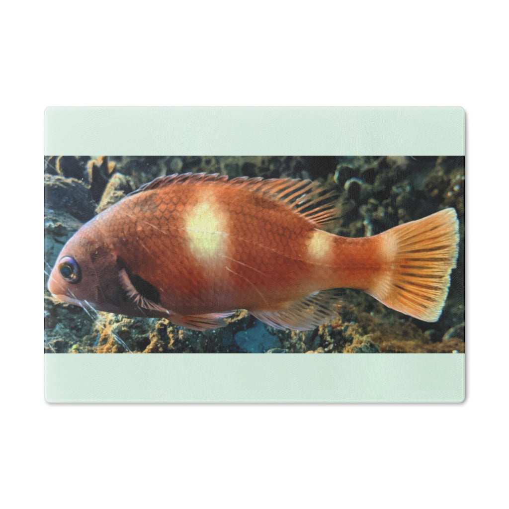 Orange Fish Cutting Board made of tempered glass with rubber dots for stability, featuring a vibrant fish design.