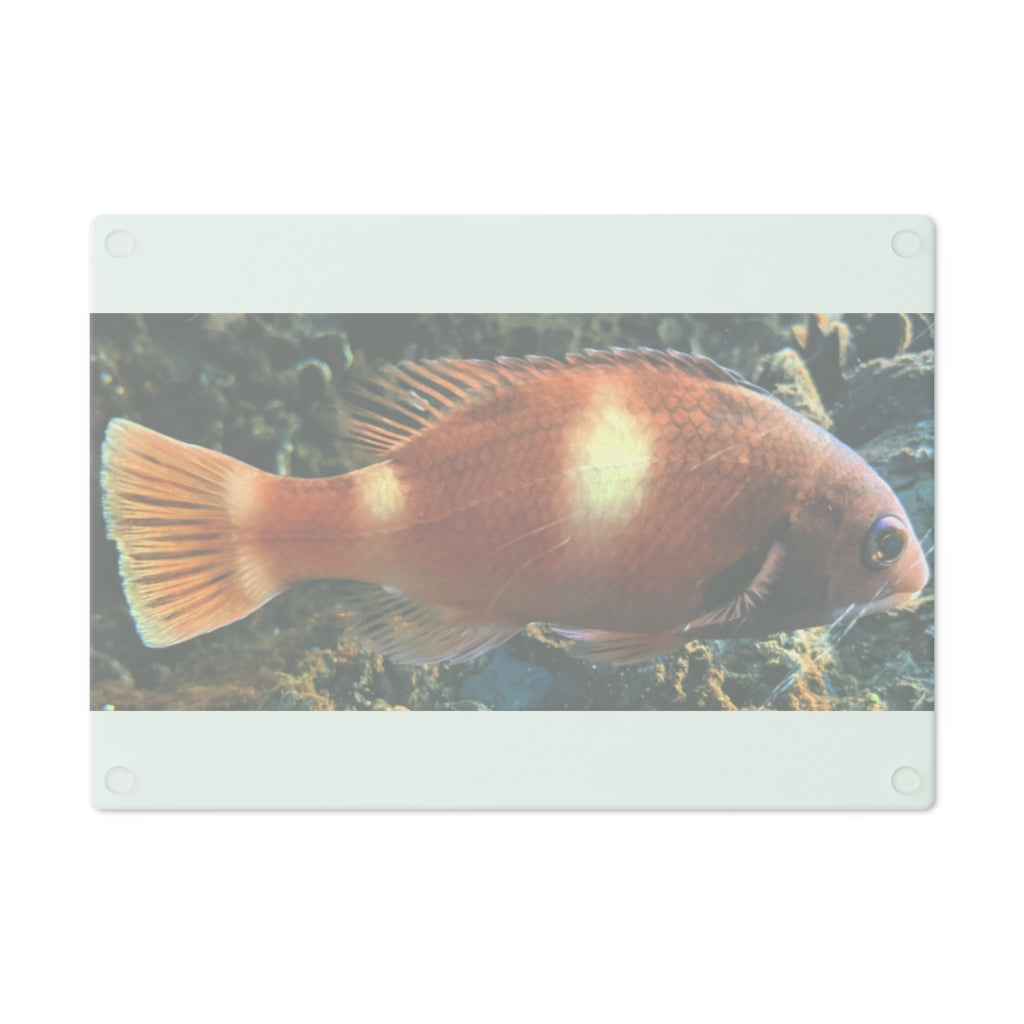 Orange Fish Cutting Board made of tempered glass with rubber dots for stability, featuring a vibrant fish design.