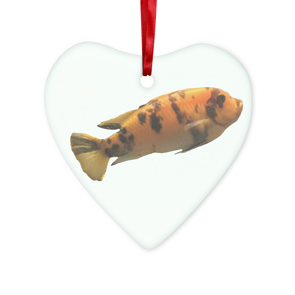 Orange Fish Glass Hanging Ornament with red ribbon and gold string, beautifully crafted in round and heart shapes.