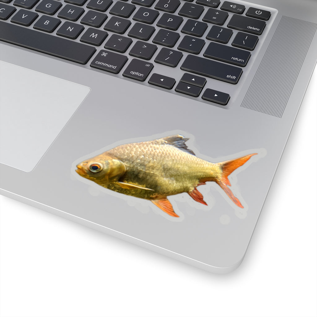 Colorful orange fish kiss-cut stickers on a white background, showcasing various shapes and sizes.