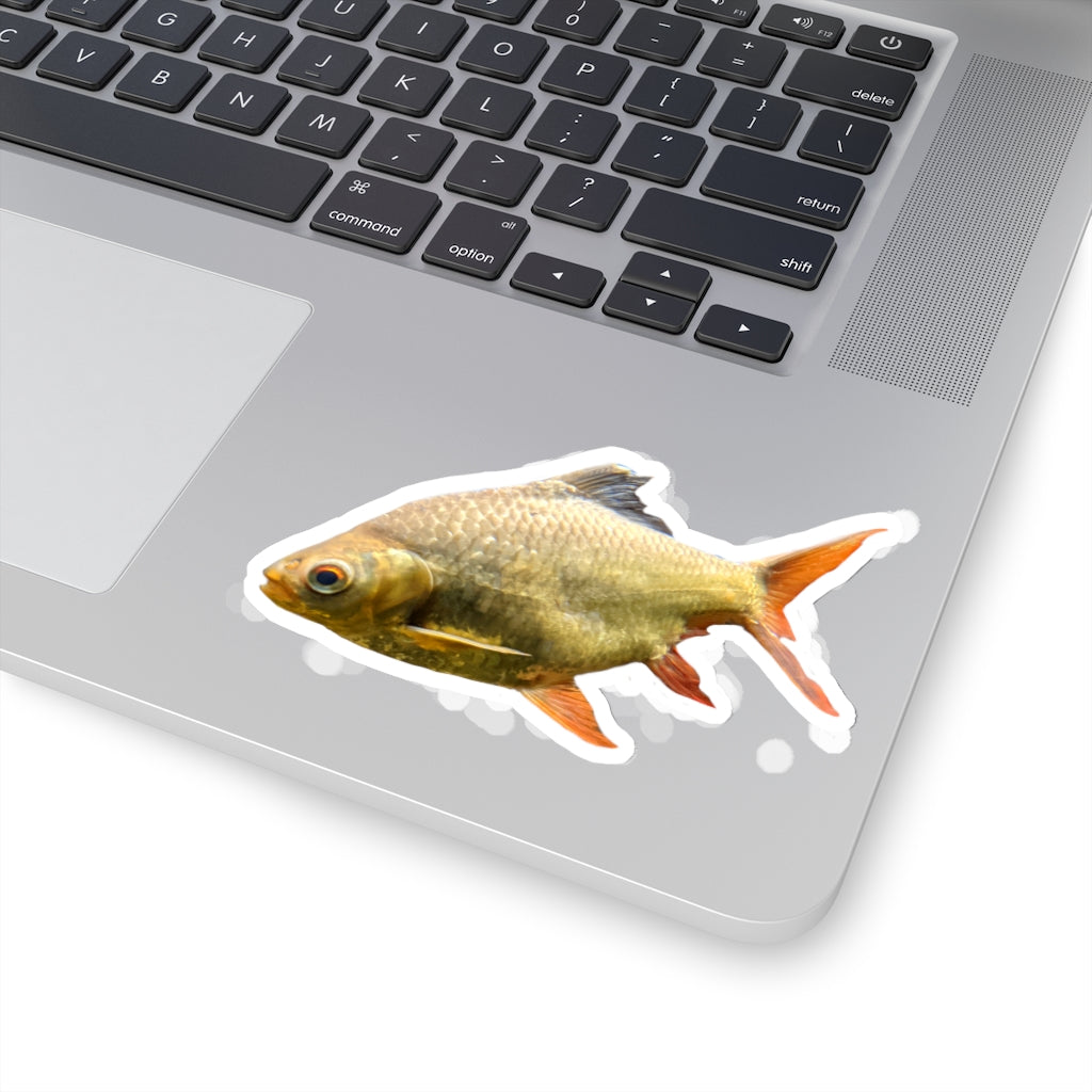 Colorful orange fish kiss-cut stickers on a white background, showcasing various shapes and sizes.