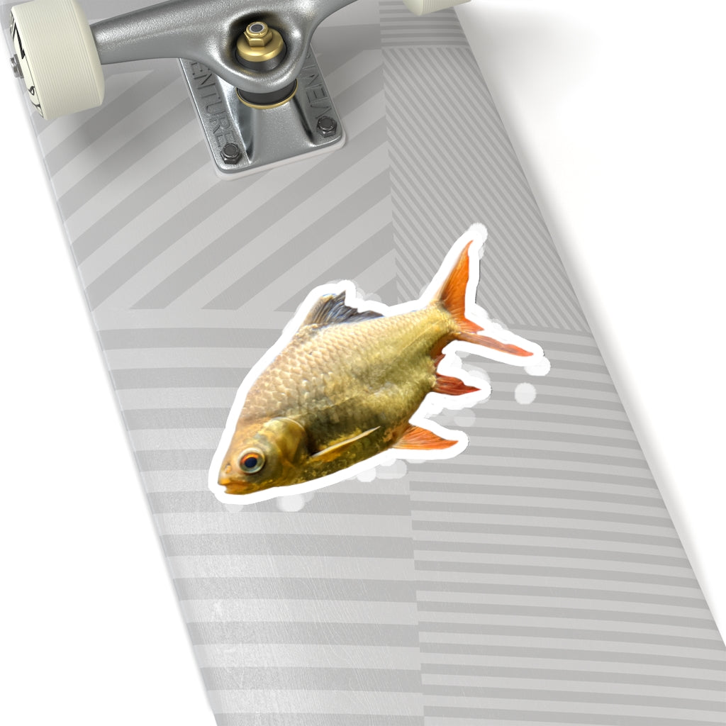 Colorful orange fish kiss-cut stickers on a white background, showcasing various shapes and sizes.