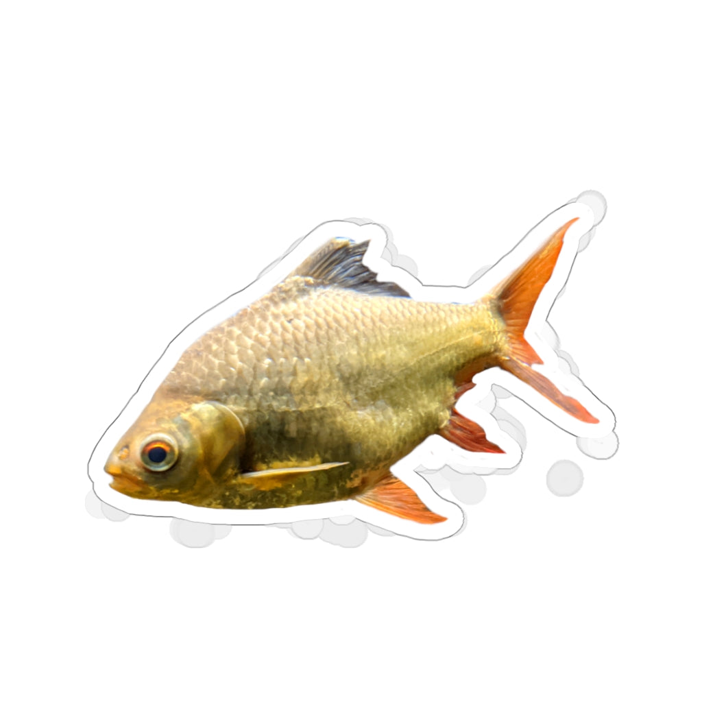 Colorful orange fish kiss-cut stickers on a white background, showcasing various shapes and sizes.