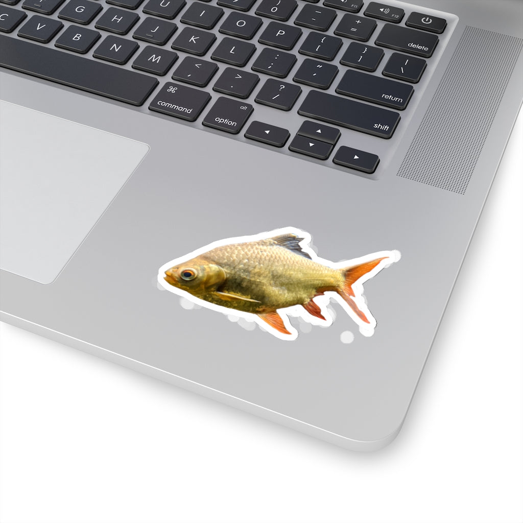 Colorful orange fish kiss-cut stickers on a white background, showcasing various shapes and sizes.