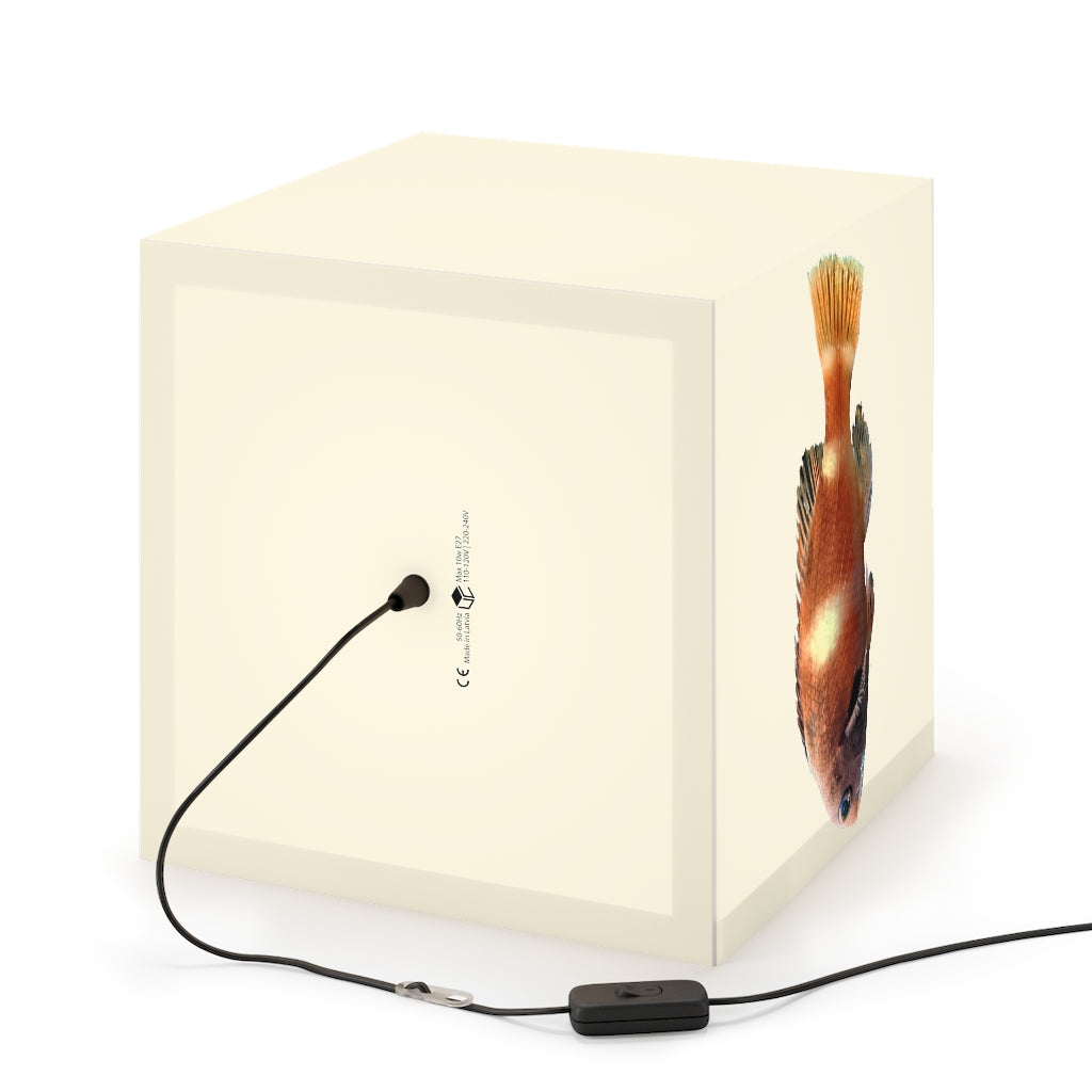 A vibrant orange fish-themed personalized cube lamp, showcasing its unique design and glowing light, perfect for indoor decoration.