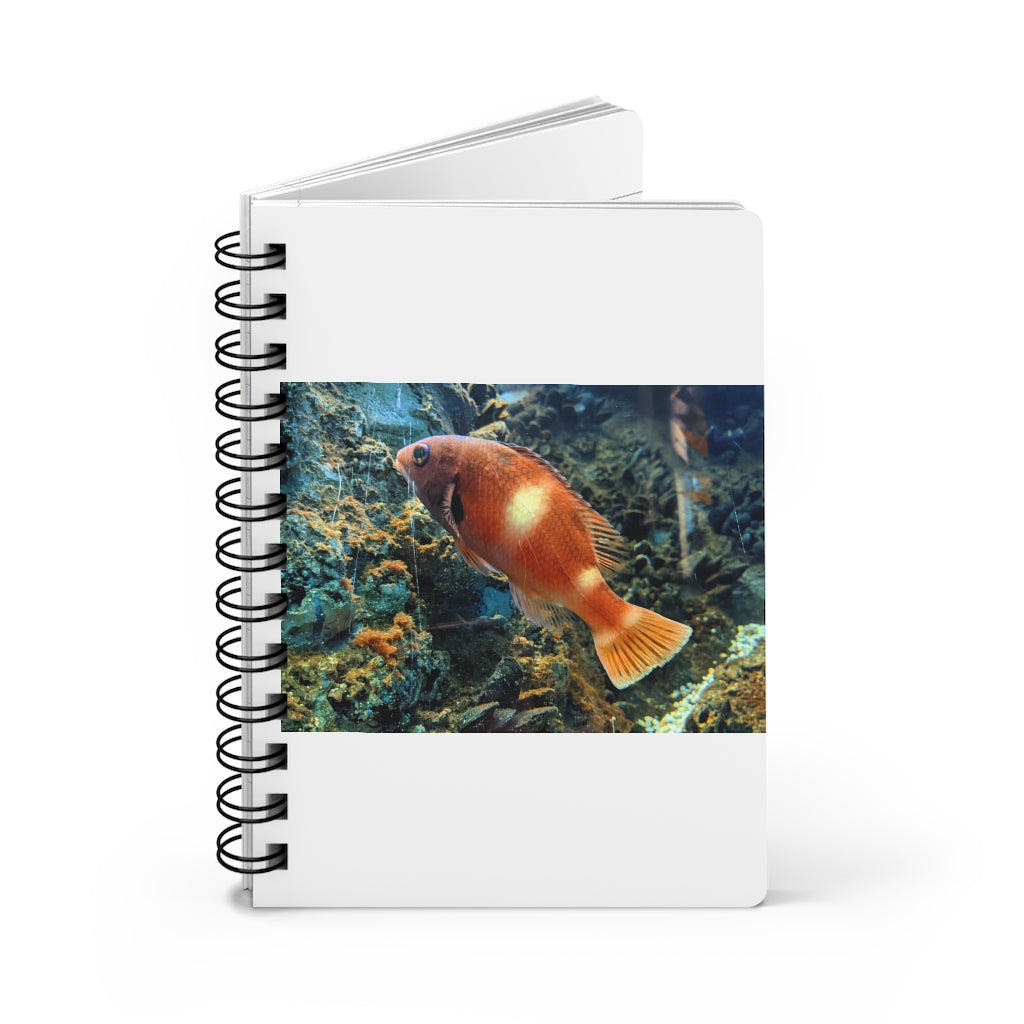Orange Fish Spiral Bound Journal with glossy laminated cover and lined pages, perfect for writing and personalization.