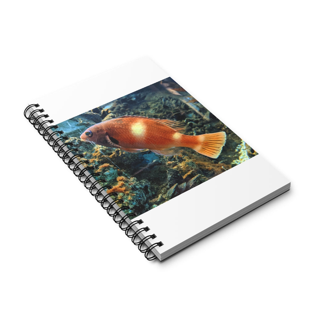 Orange Fish Spiral Journal featuring a vibrant front cover design, available in multiple styles including blank, dot grid, lined, and task manager.
