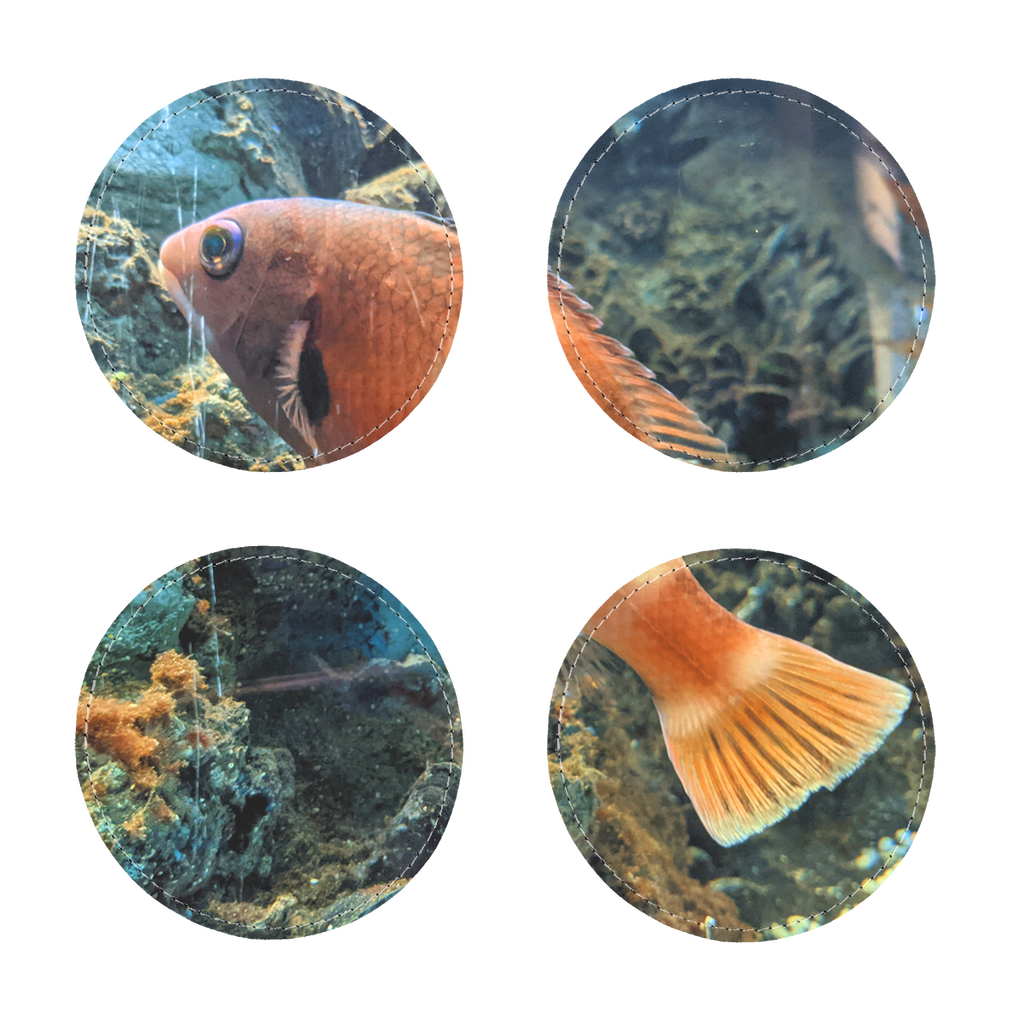 Pack of four OrangeFishScene sublimation coasters made from PU leather, featuring a white printable face and elegant white stitching.