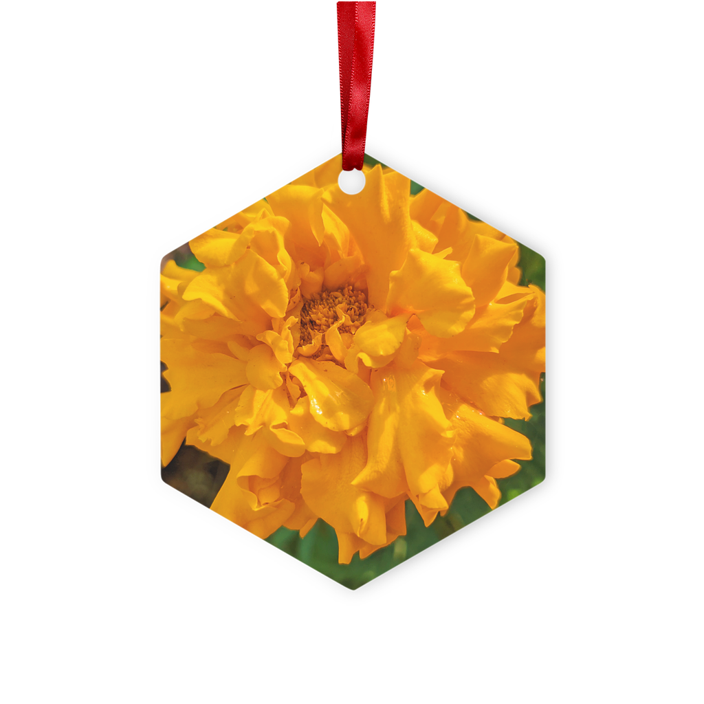 OrangeFlower Metal Hanging Ornament in hexagon and star shapes, featuring a red ribbon and gold string, elegantly packaged in a white box.