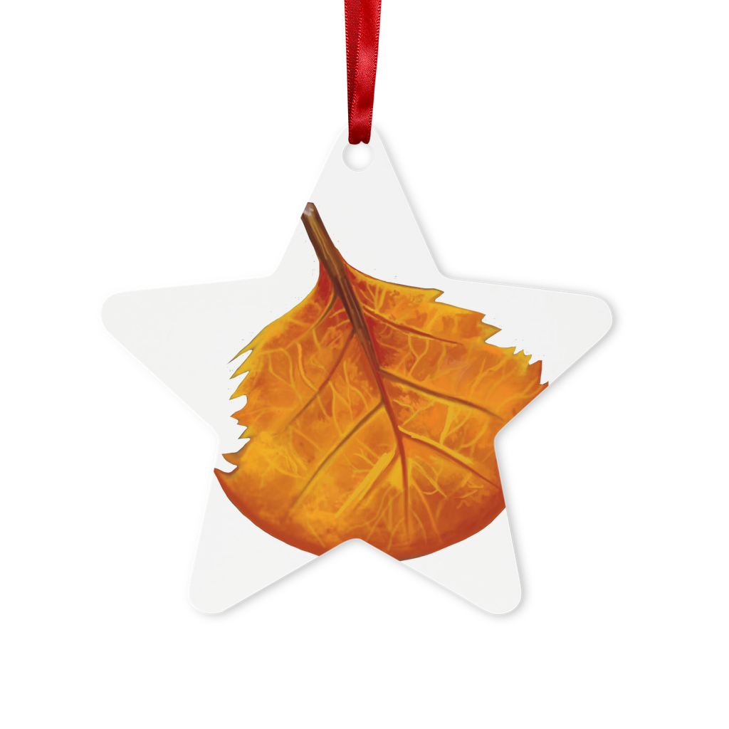 OrangeLeaf Metal Hanging Ornament in hexagon and star shapes, featuring a gloss white finish, red ribbon, and gold string, elegantly packaged in a white box.