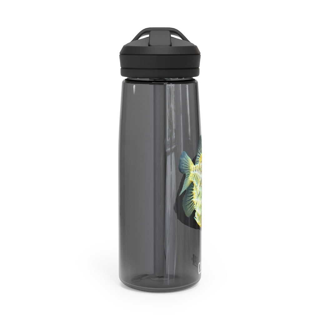 Pineapple Fish CamelBak Eddy® Water Bottle in vibrant colors, showcasing its unique design and robust construction.
