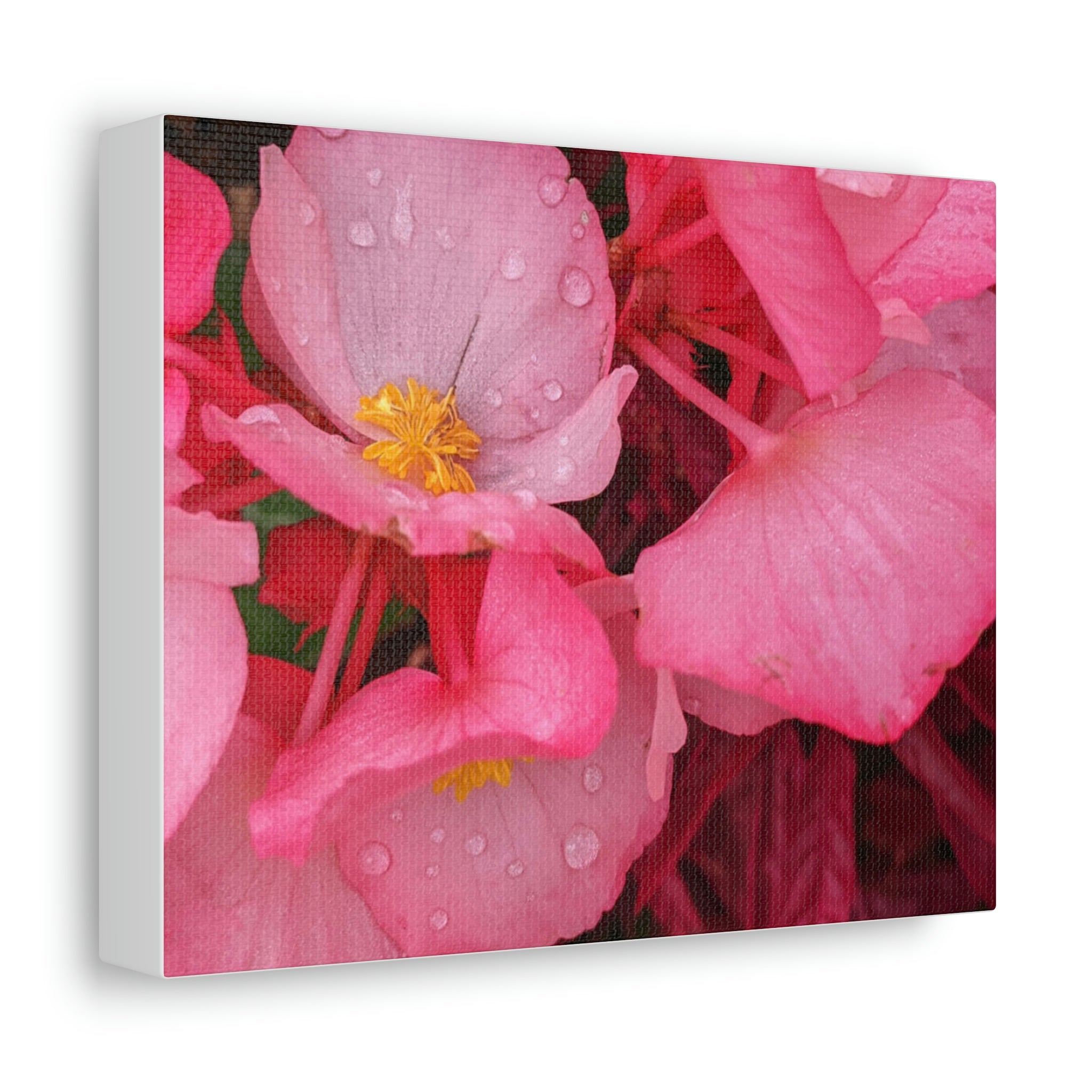 A vibrant pink flower stretched canvas art piece, elegantly framed and ready for indoor display.