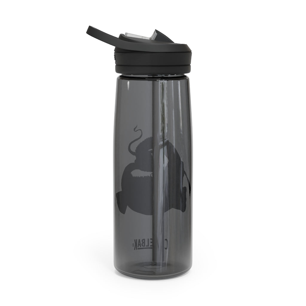Platipus CamelBak Eddy® Water Bottle in 20oz and 25oz sizes, showcasing its robust design and easy-carry handle.