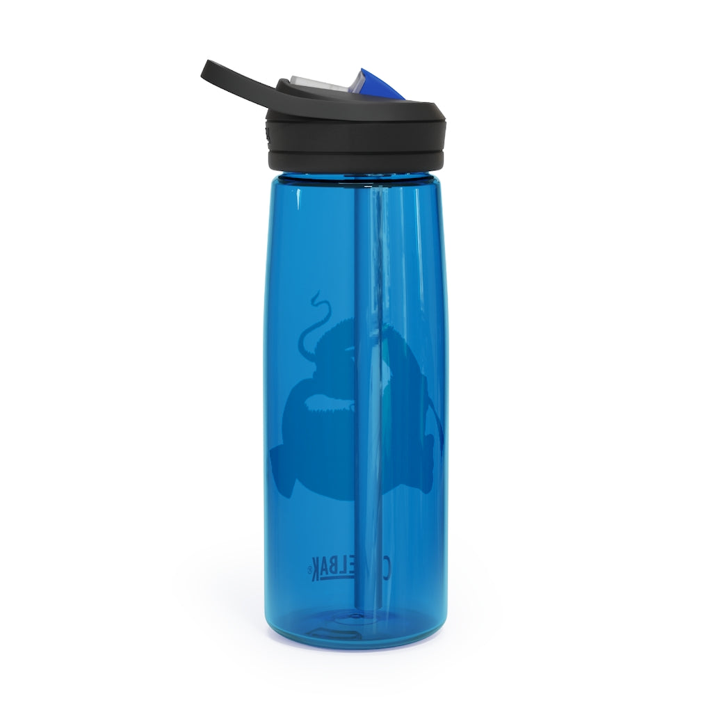 Platipus CamelBak Eddy® Water Bottle in 20oz and 25oz sizes, showcasing its robust design and easy-carry handle.