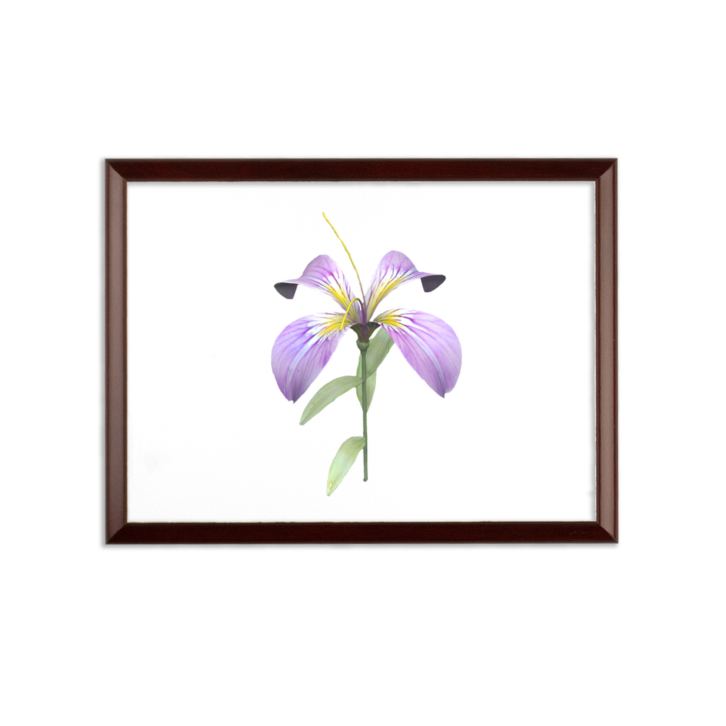 PurpleFlower Sublimation Wall Plaque with brown wooden frame and white printable surface, showcasing customizable design options.