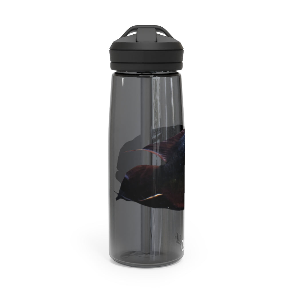Red and Black Fish CamelBak Eddy® Water Bottle, 20oz and 25oz sizes, featuring a spill-proof biting valve and easy-carry handle.