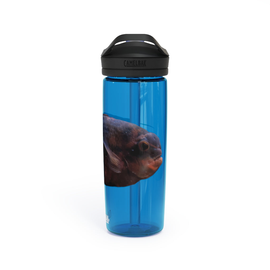 Red and Black Fish CamelBak Eddy® Water Bottle, 20oz and 25oz sizes, featuring a spill-proof biting valve and easy-carry handle.