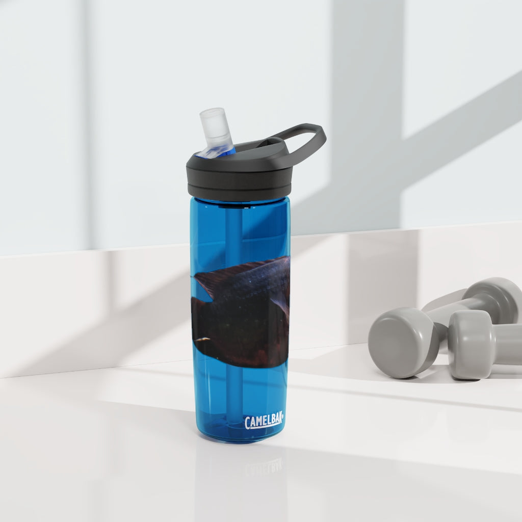 Red and Black Fish CamelBak Eddy® Water Bottle, 20oz and 25oz sizes, featuring a spill-proof biting valve and easy-carry handle.