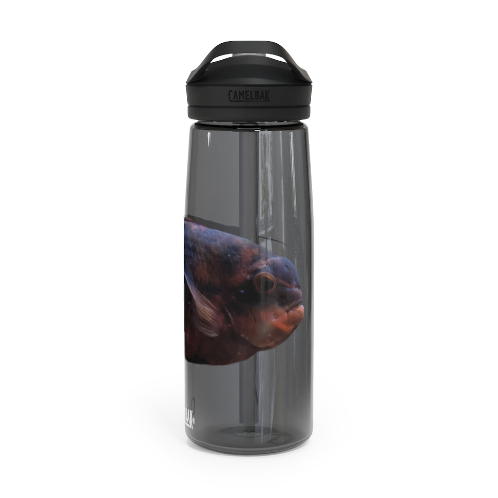 Red and Black Fish CamelBak Eddy® Water Bottle, 20oz and 25oz sizes, featuring a spill-proof biting valve and easy-carry handle.