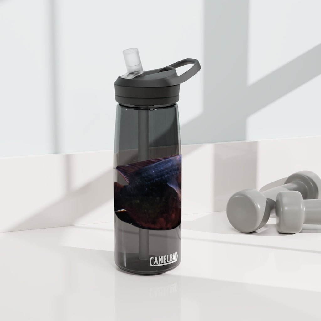 Red and Black Fish CamelBak Eddy® Water Bottle, 20oz and 25oz sizes, featuring a spill-proof biting valve and easy-carry handle.